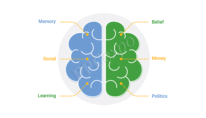 cognitive bias in marketing things you dont understand